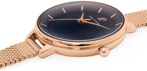 PIERRE LANNIER DELICE 001H938