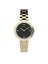 TIMEX  CITY TW2V24400D7