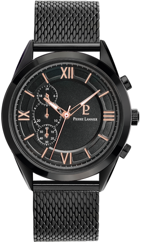 PIERRE LANNIER  CAPITAL 232F439