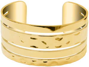 PIERRE LANNIER  ECHO BJ10A5201