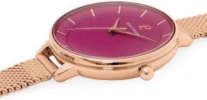 PIERRE LANNIER DELICE 001H958