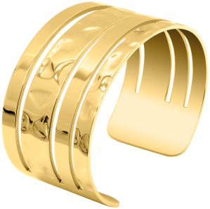 PIERRE LANNIER  ECHO BJ10A5201