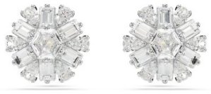 SWAROVSKI 5691483