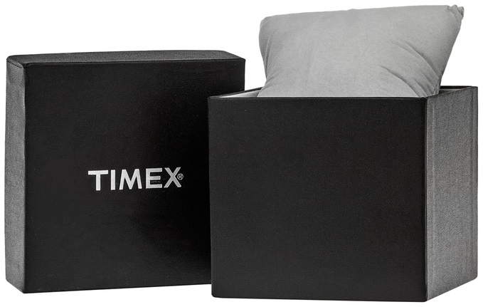 TIMEX  CITY TW2V24000D7