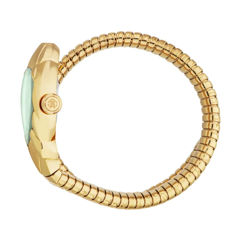 Roberto Cavalli  Lady RC5L110M0045