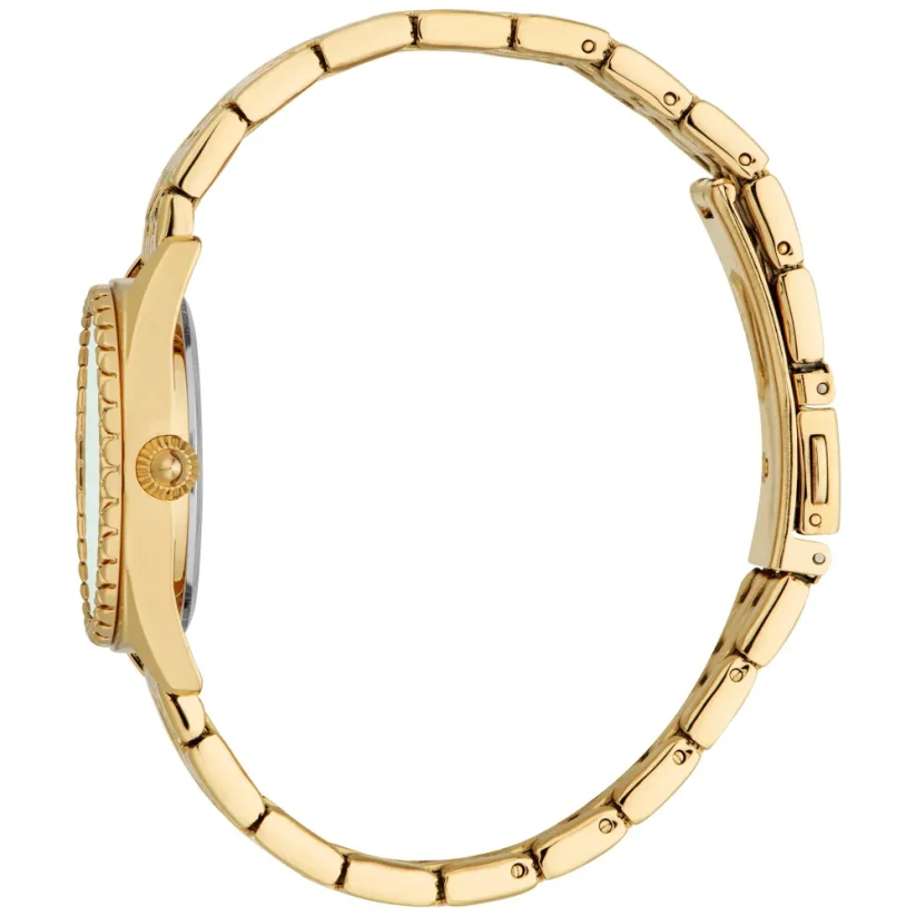 Just Cavalli   Indomitable Animalier JC1L312M0075