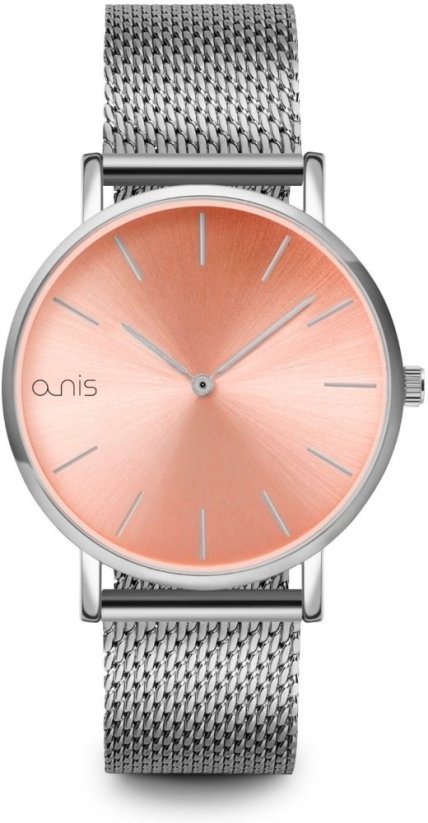 a-nis AS100-10