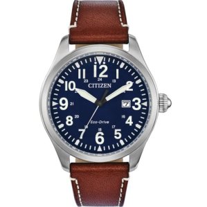 Citizen Eco-Drive BM6838-17L