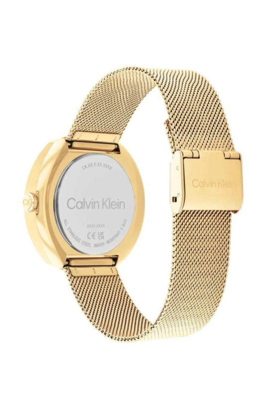 CALVIN KLEIN 25200339 (38,5CM)
